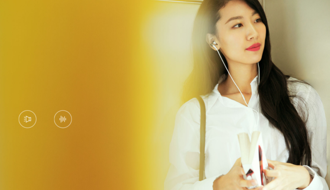 Наушники Xiaomi Mi ANC & Type-C In-Ear Earphones (Black) Наушники Xiaomi Mi ANC & Type-C In-Ear Earphones (Black)